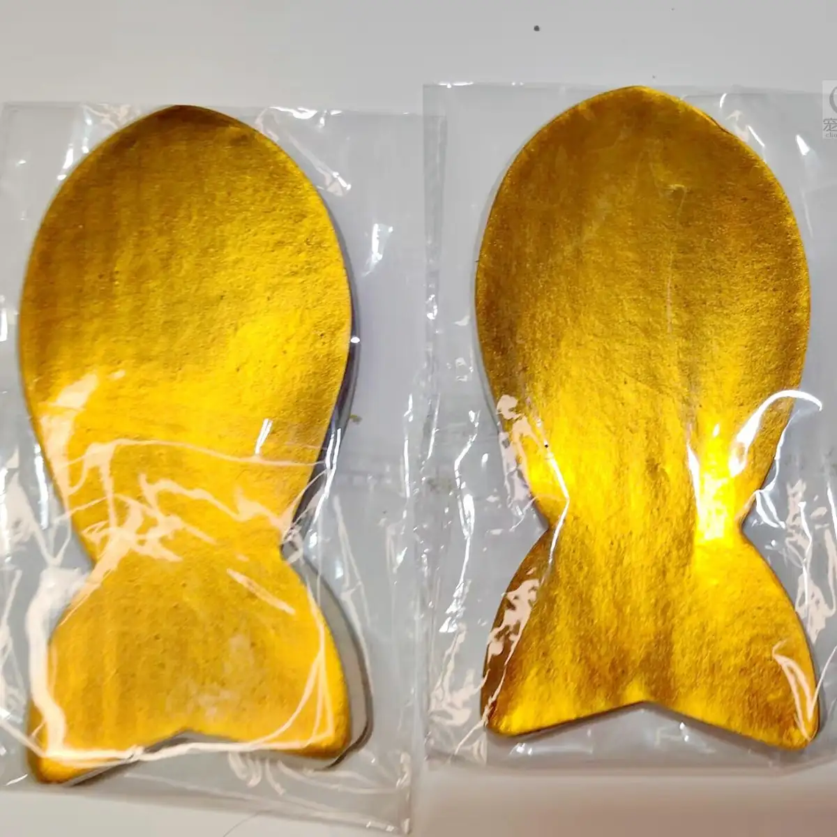寵物祭祀葬禮紀念貓咪金紙魚