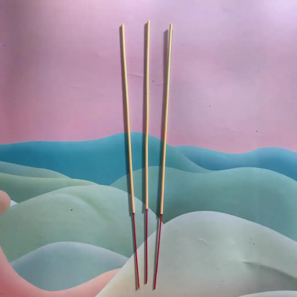 寵物祭祀焚燒紙，往生紀念，貓狗骨灰安葬，737週年紙錢與硬幣